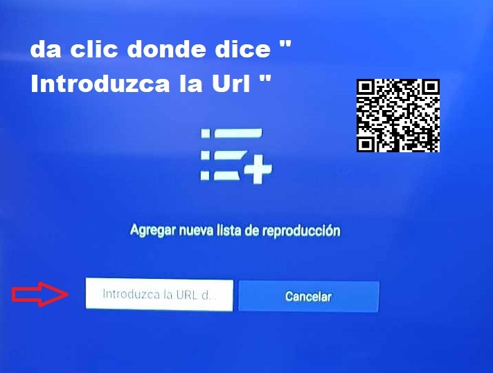 mujeres putas y bellacas con bichos grandes